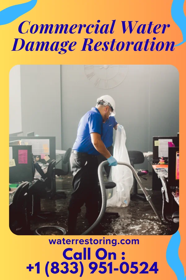 Commercial Water Damage Restoration in Boulder, MT