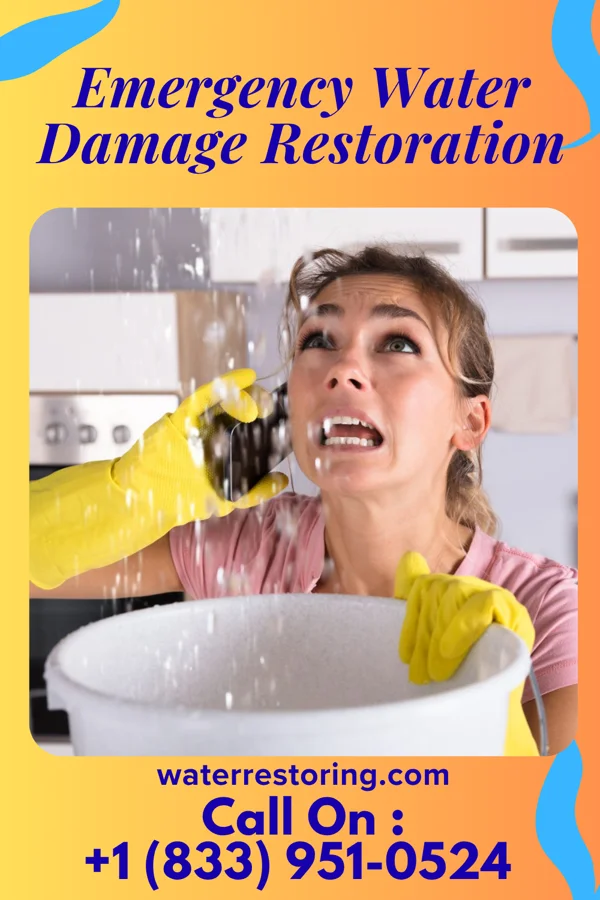 Emergency Water Damage Restoration in Boulder, MT